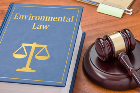 Environmental Law Book & Gavel